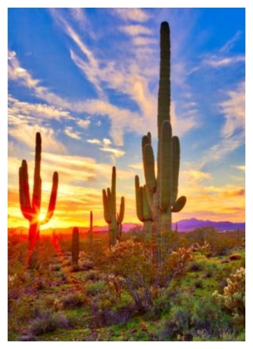 Arizona desert Landscape